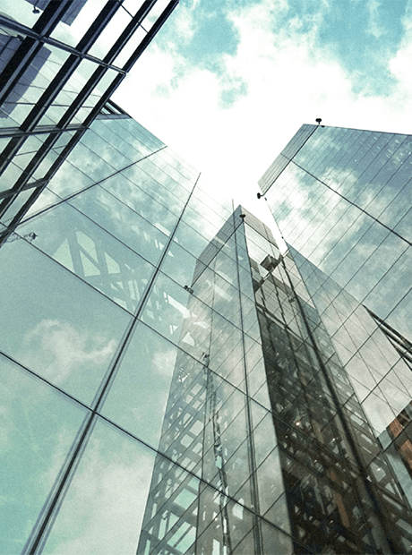 desarrollo humano psicología